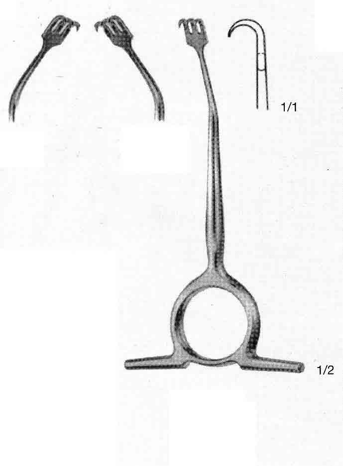 WILLIGER TIRMIK EKARTÖR 12CM